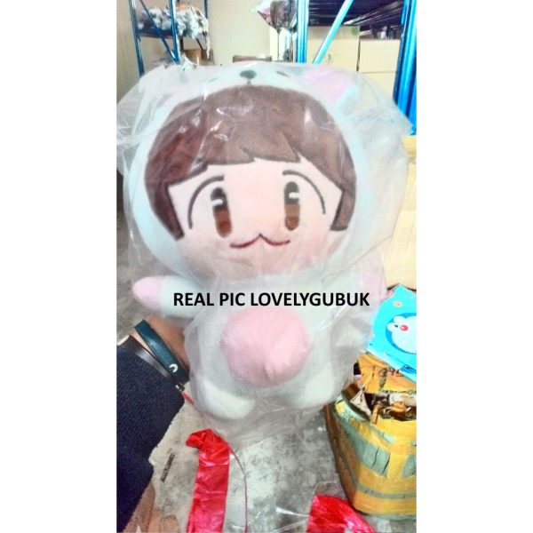 [LOGU][CUCI GUDANG] Boneka Exo, EXO plush doll, Boneka sehun, chanyeol, baekhyun dkk - Image 9